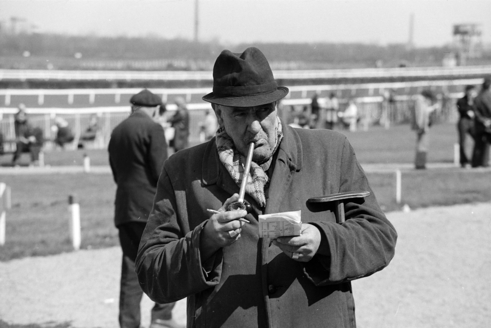 1975, Rubinstein Sándor, pipe, horse race, Fortepan #202645