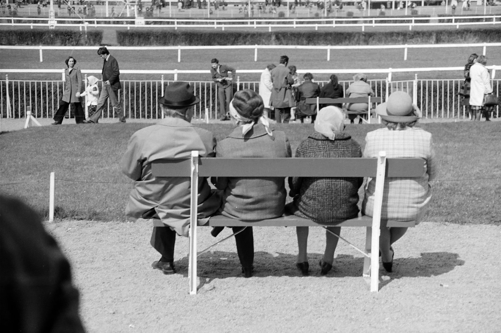 Hungary, Budapest X., Albertirsai út, Lóversenypálya (később Kincsem Park)., 1975, Rubinstein Sándor, bench, horse race, Budapest, Fortepan #202651