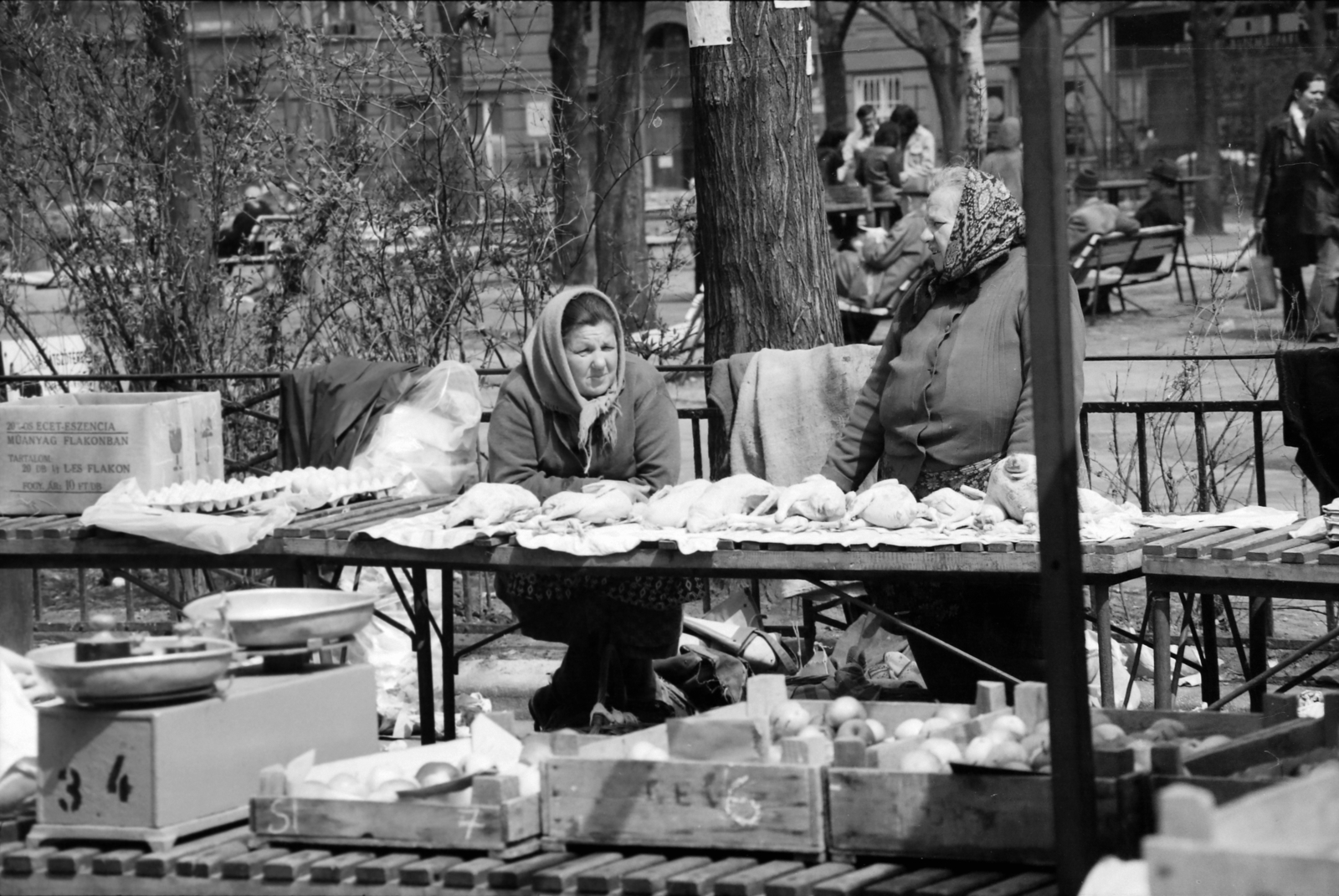 Hungary, Budapest VI., Hunyadi tér, piac a Vásárcsarnok előtt., 1980, Rubinstein Sándor, Budapest, Fortepan #202752