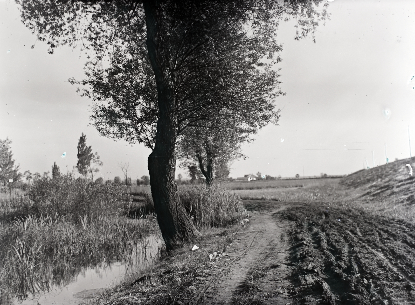 1935, Tóth Árpád, dirt road, Fortepan #203165