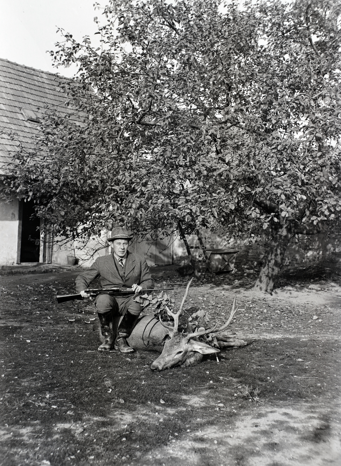 1935, Tóth Árpád, trófea, vadász, Fortepan #203172