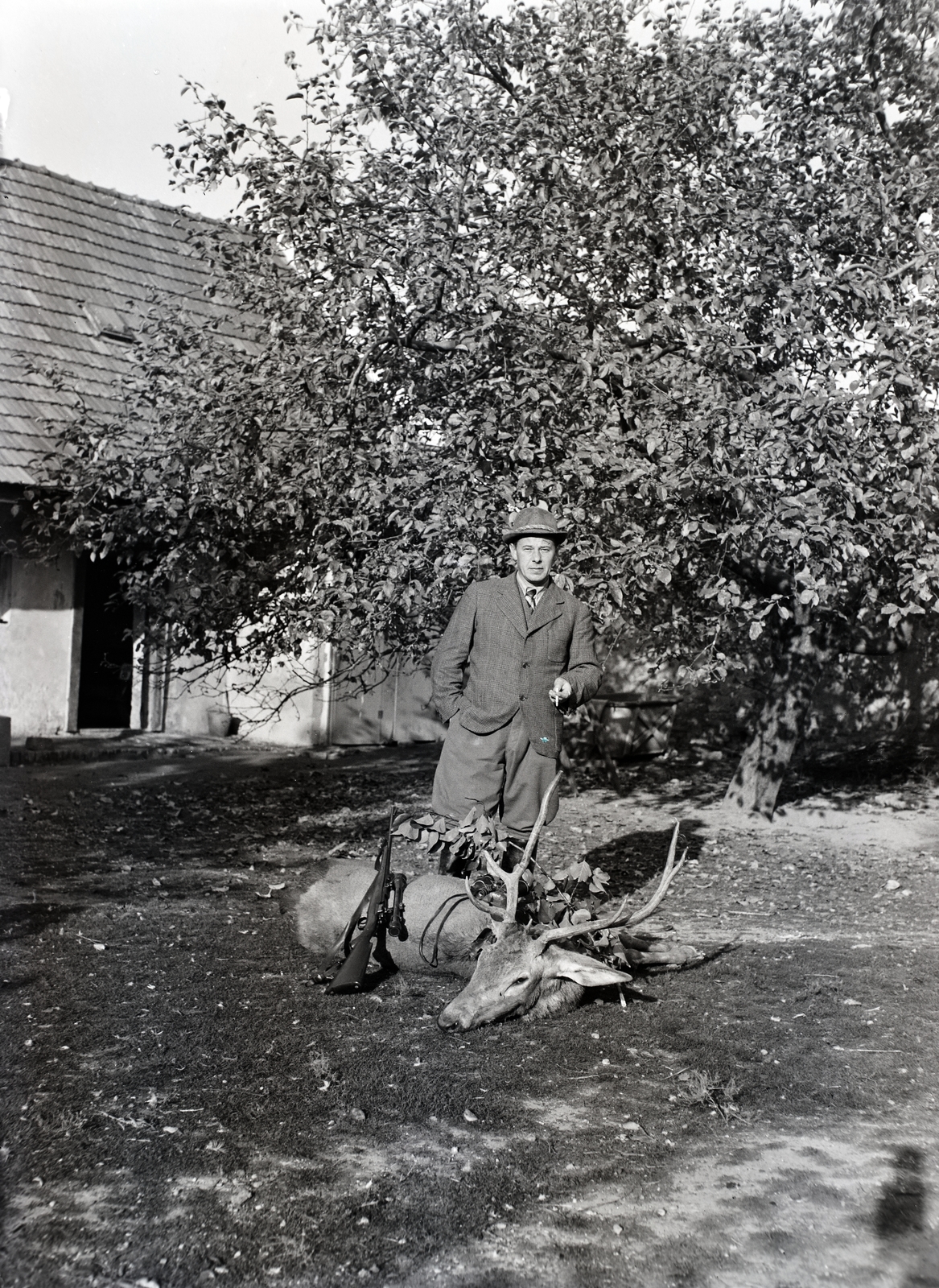 1937, Tóth Árpád, vadászat, vadász, Fortepan #203176