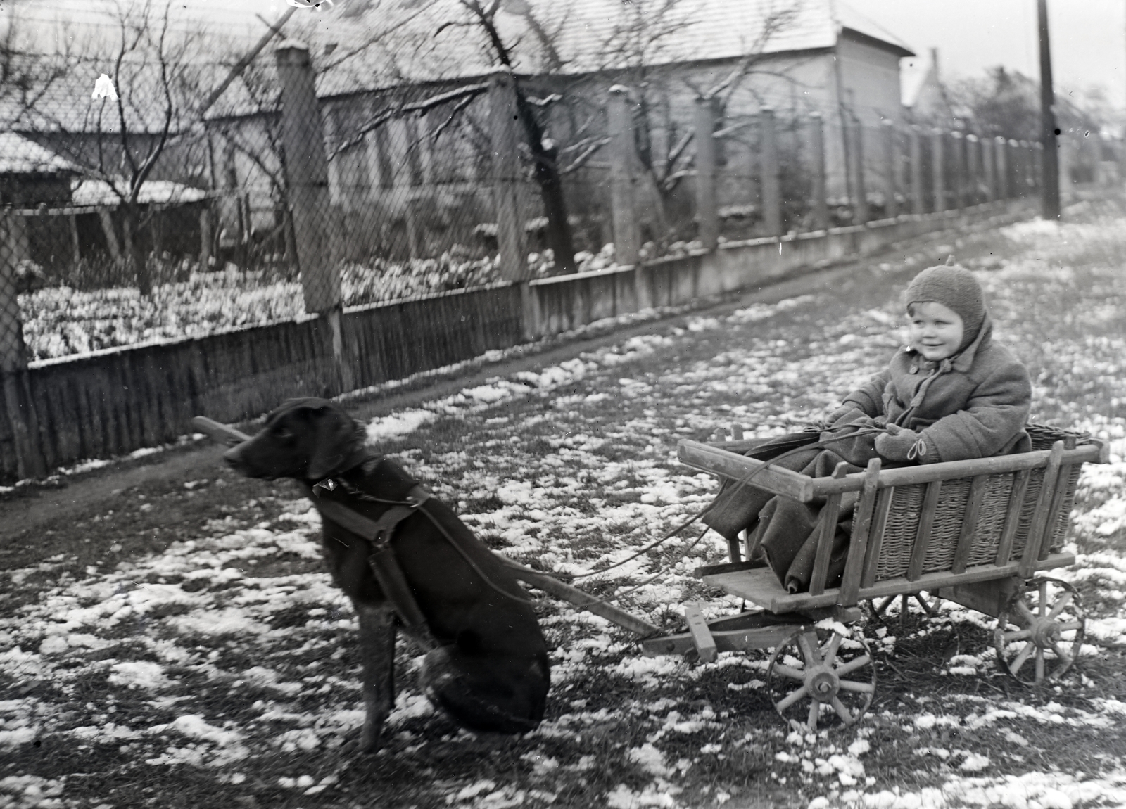 1935, Tóth Árpád, kid, dog cart, Fortepan #203192