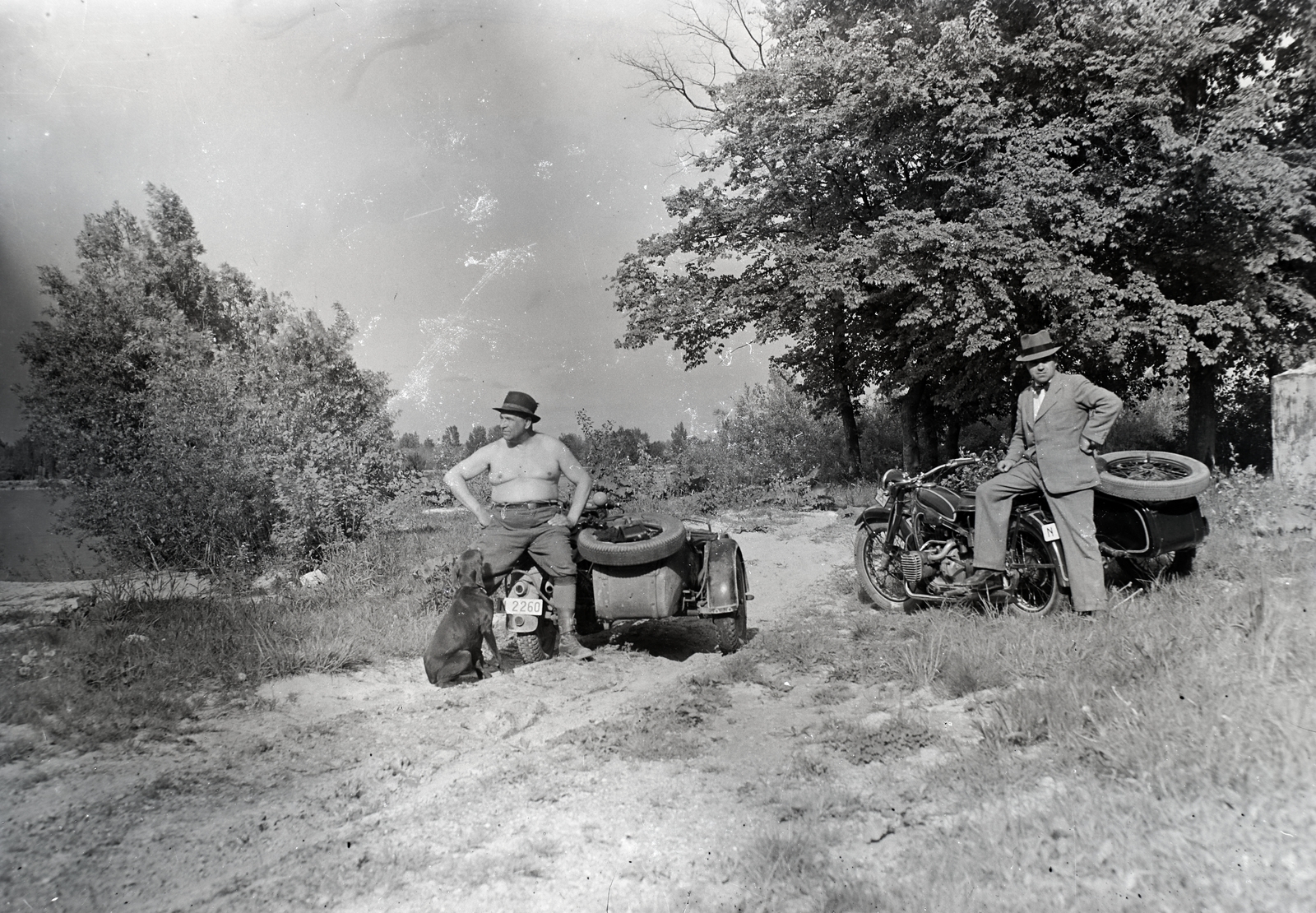 1947, Tóth Árpád, motorcycle, BMW-brand, dog, motorcycle with sidecar, number plate, Fortepan #203193