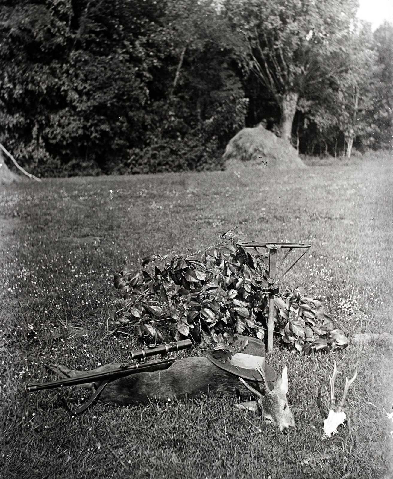 1935, Tóth Árpád, hunting, place, Fortepan #203201