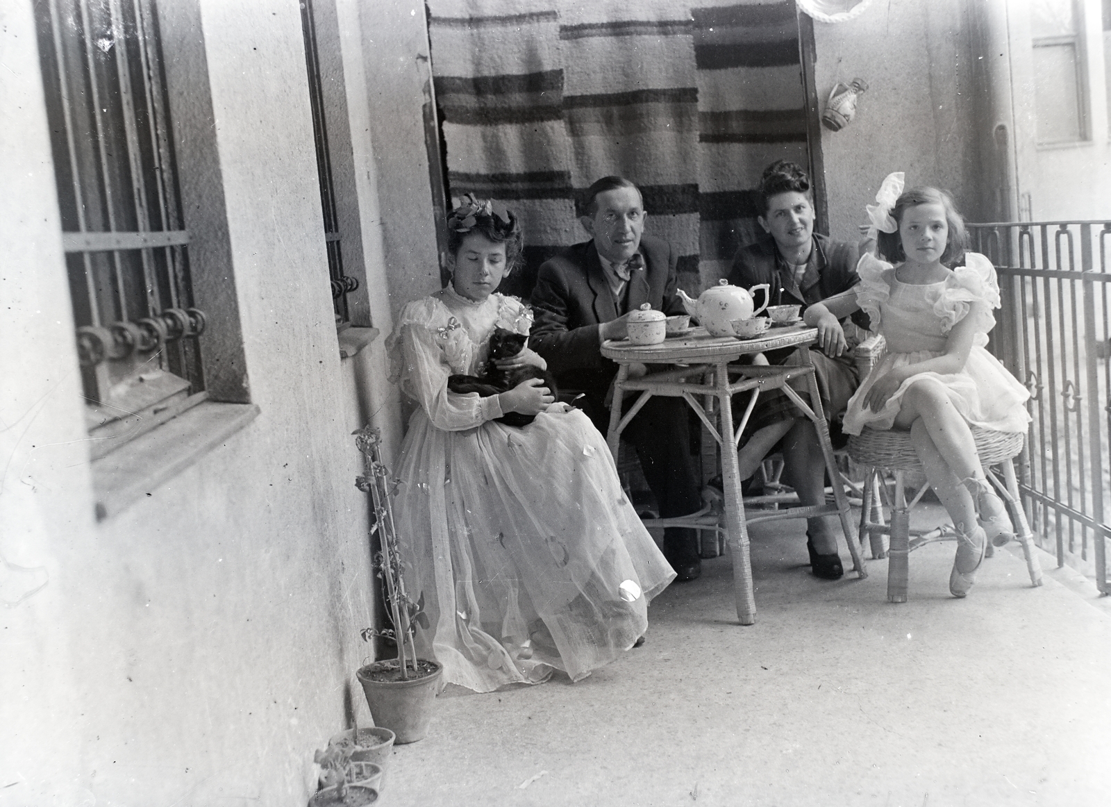 1935, Tóth Árpád, macska, Fortepan #203216