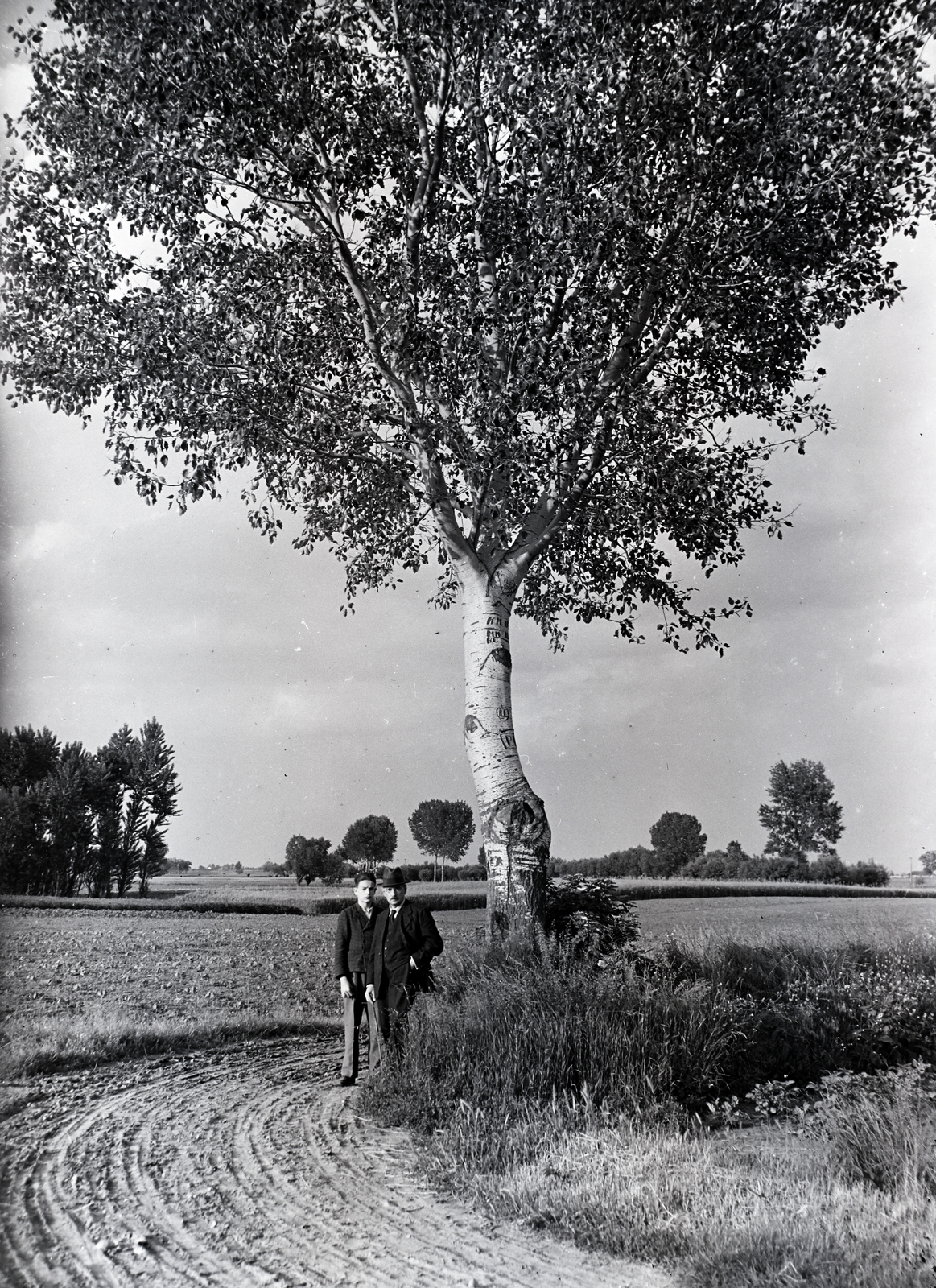 1939, Tóth Árpád, dirt road, Fortepan #203221