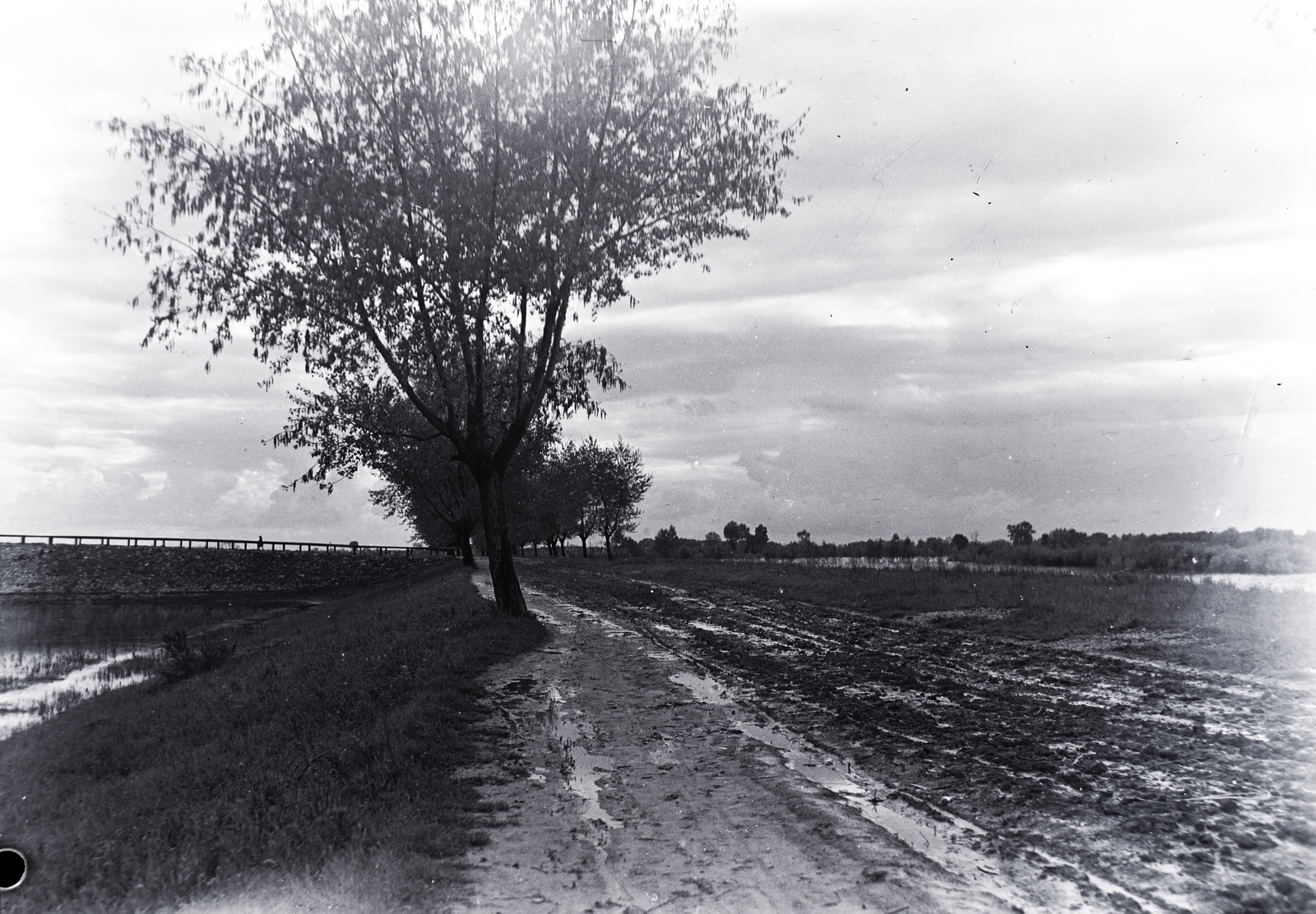 1936, Tóth Árpád, Fortepan #203240