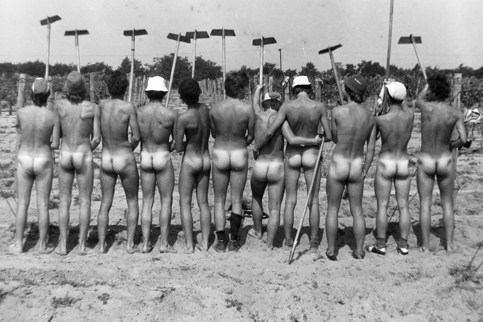 1982, Madách Gimnázium, hoe, nude figure, Best of, engineering camp, Fortepan #203300