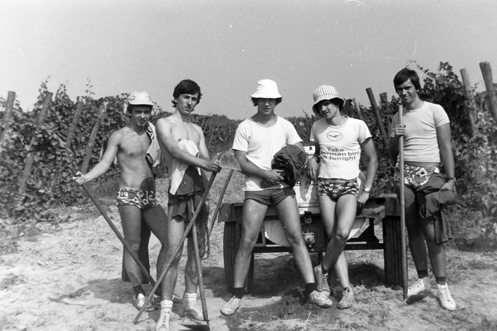 1984, Madách Gimnázium, Fortepan #203365