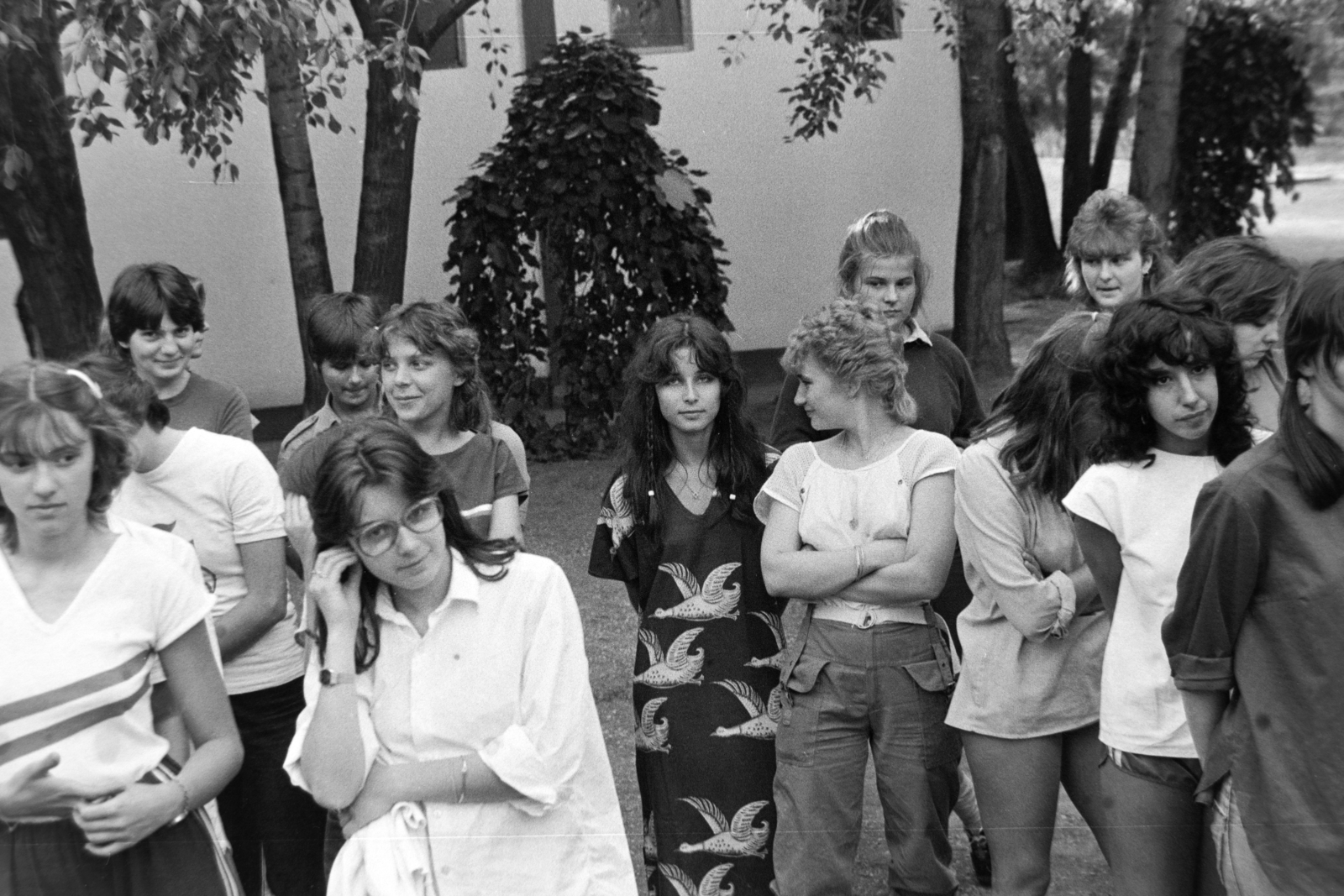 Hungary, Lakitelek, Tőserdő, Bagi Ilona KISZ építőtábor, a Madách Imre Gimnázium tanulói., 1984, Madách Gimnázium, Fortepan #203372