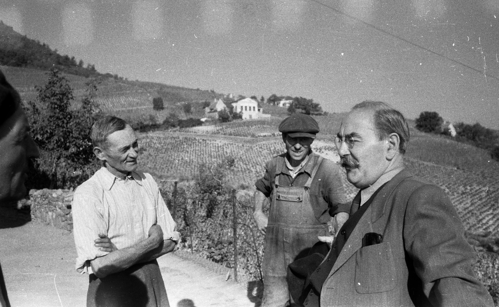 Hungary,Lake Balaton, Badacsonytomaj, jobb szélen Nagy Imre, a felvétel a miniszterelnök szüreti látogatásakor, 1956. október 22-én készült., 1956, Kotnyek Antal, harvest, celebrity, talks, politician, Fortepan #203543