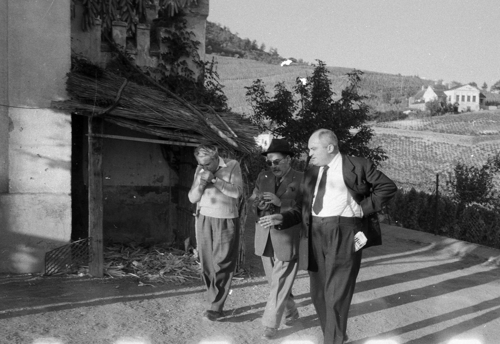 Hungary,Lake Balaton, Badacsonytomaj, középen Nagy Imre, a felvétel a miniszterelnök szüreti látogatásakor, 1956. október 22-én készült., 1956, Kotnyek Antal, celebrity, politician, Fortepan #203548