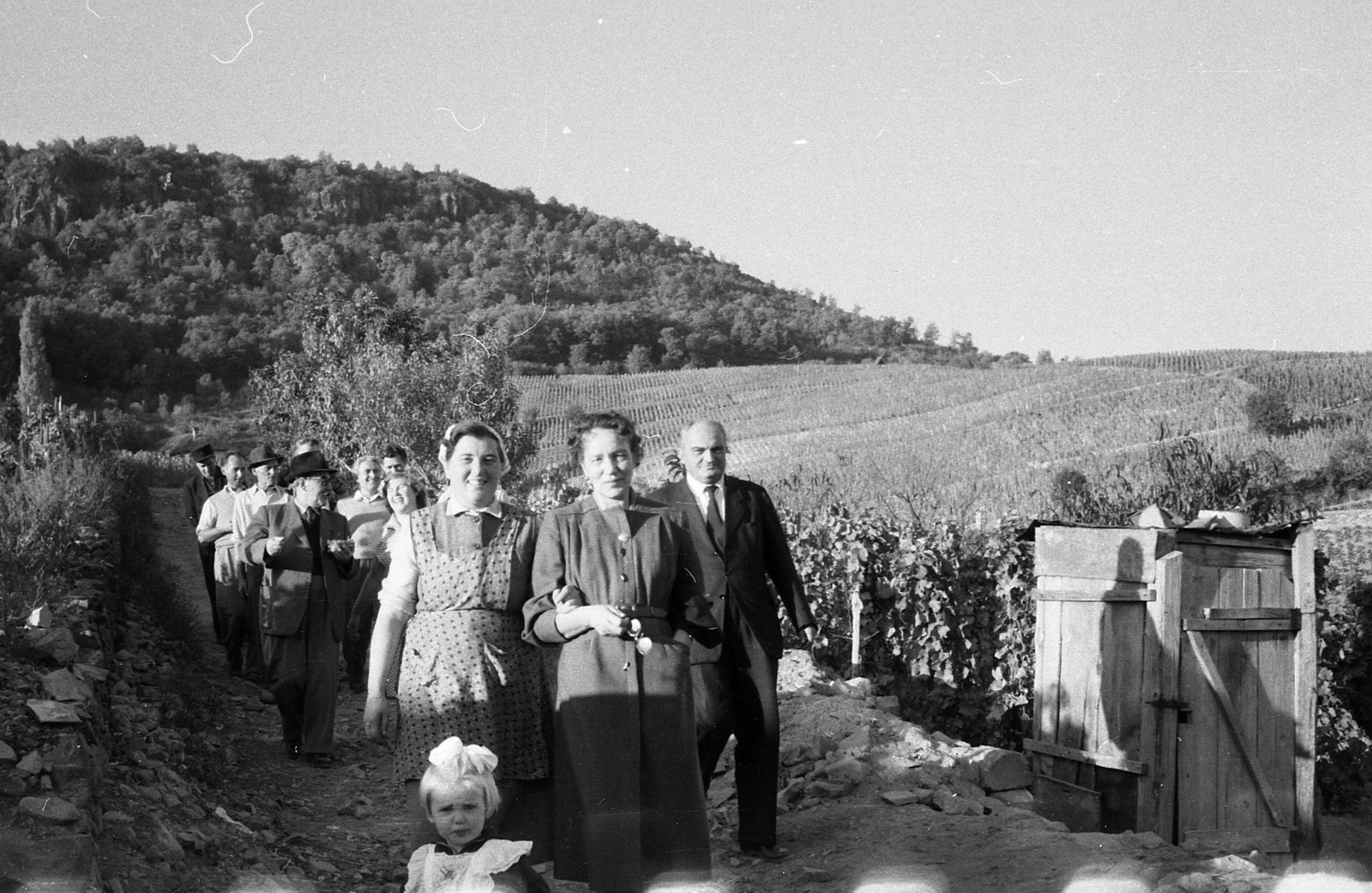 Hungary,Lake Balaton, Badacsonytomaj, balra szélen Nagy Imre, elől szemüveggel a kezében a felesége, a felvétel a miniszterelnök szüreti látogatásakor, 1956. október 22-én készült., 1956, Kotnyek Antal, politician, companionship, Fortepan #203549