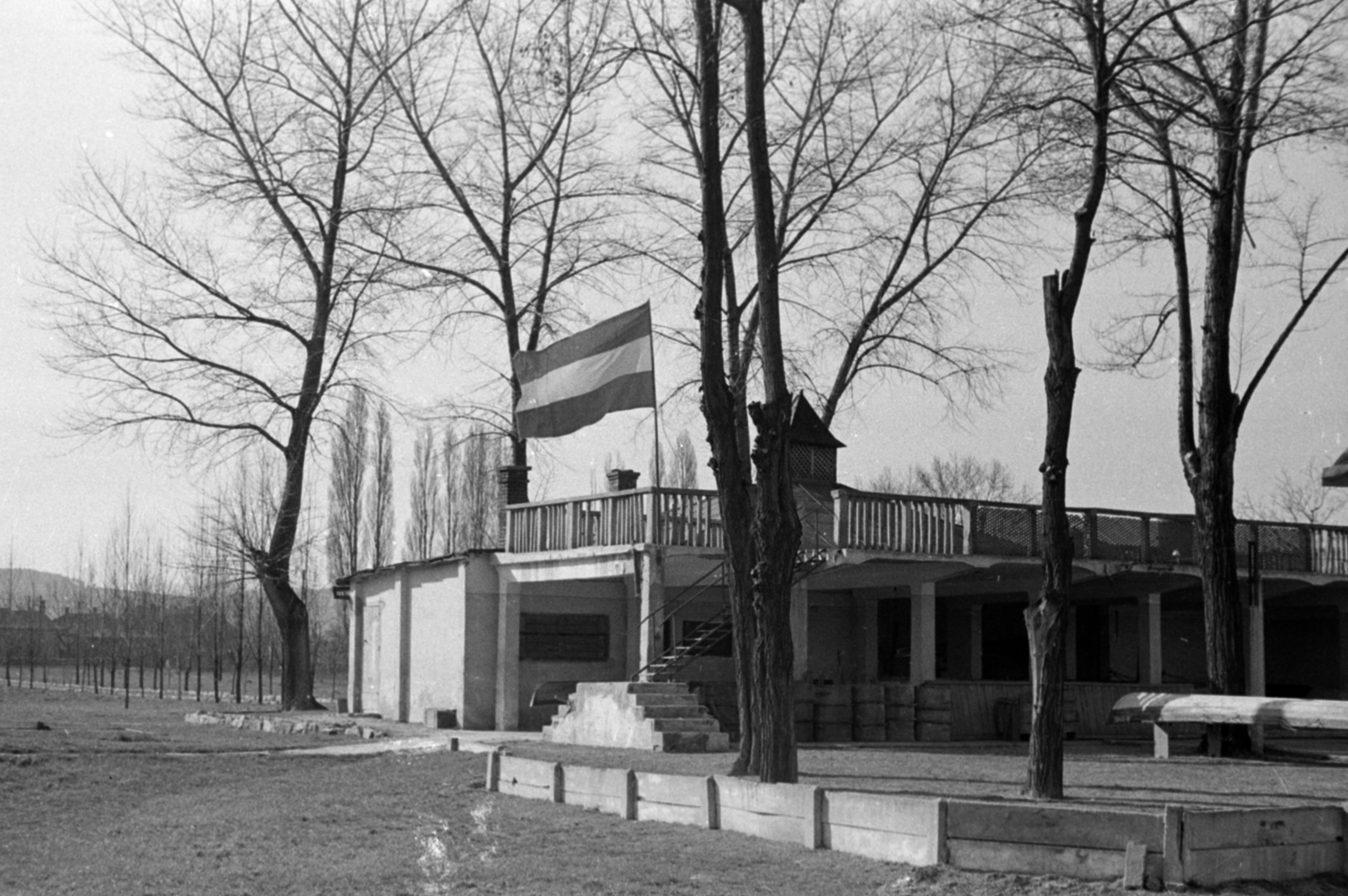 1956, Kurutz Márton, stairs, flag, Fortepan #203906