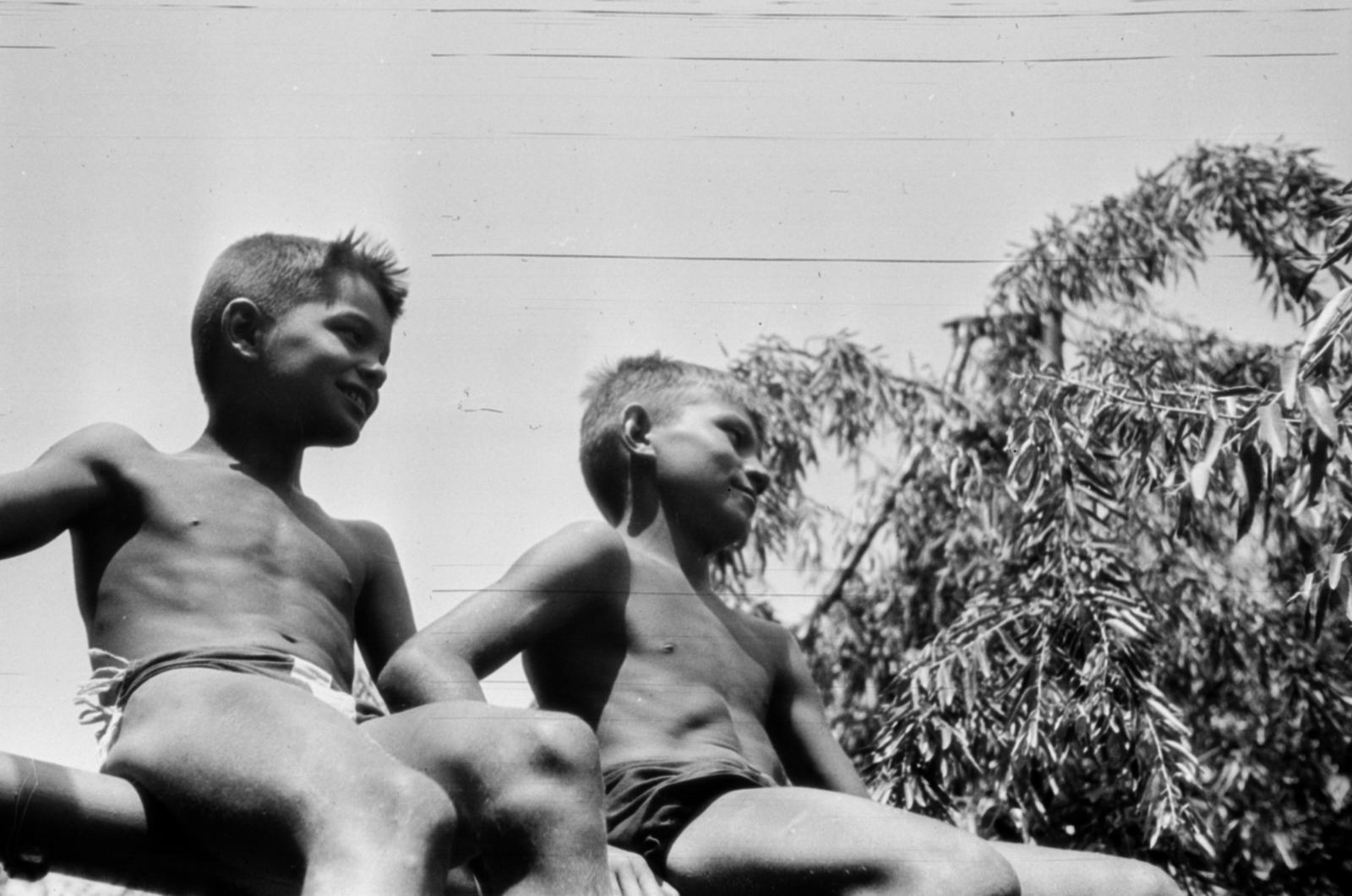 1958, Kurutz Márton, half-naked, boys, Fortepan #203926