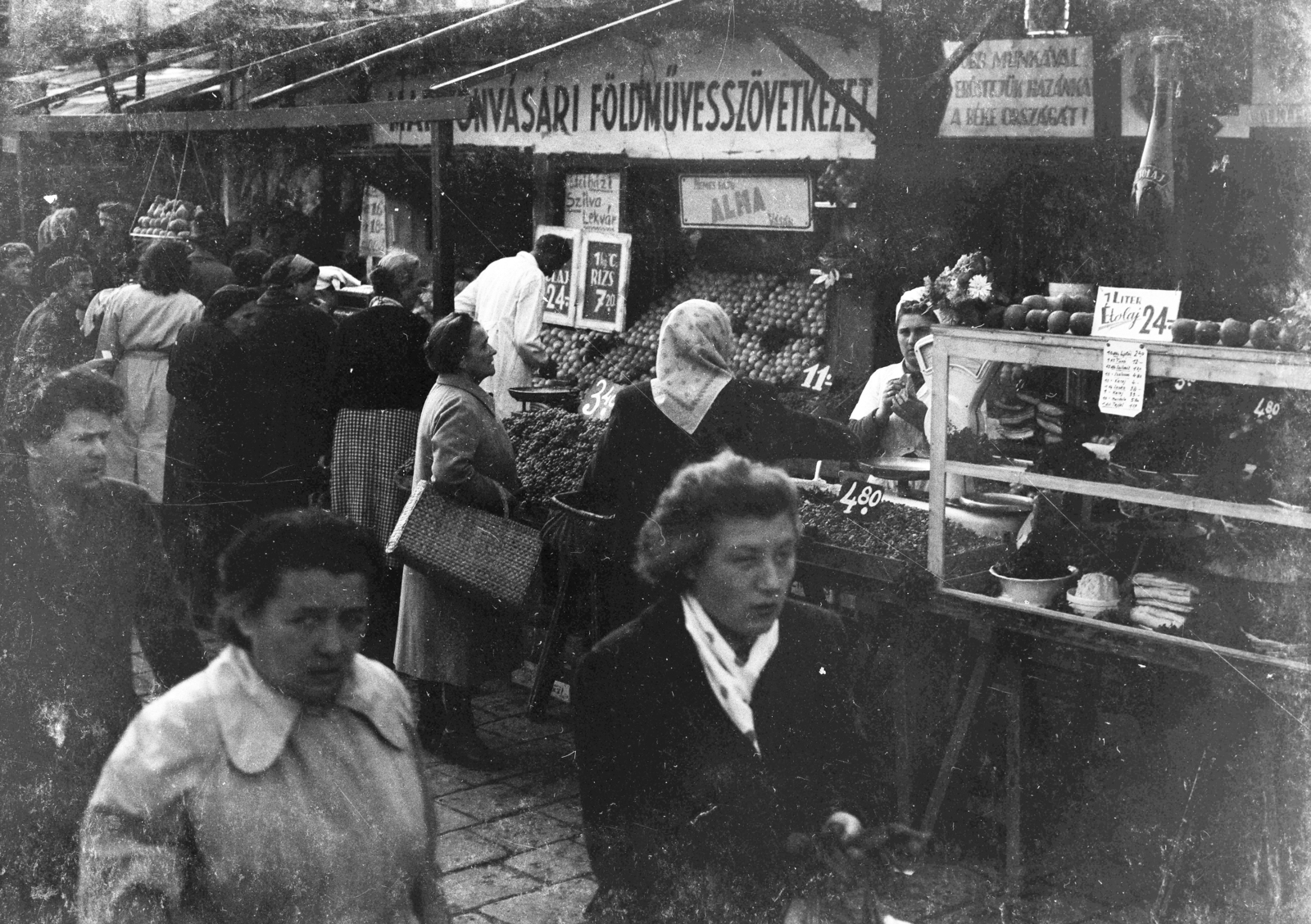 Magyarország, Budapest II., piac a Széll Kálmán (Moszkva) téren., 1952, Lukács Pál, piac, Budapest, földműves-szövetkezet, Fortepan #204040