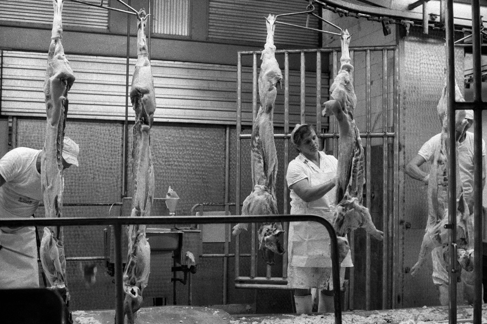 Hungary, Budapest IX., Gubacsi út 6., Sertésközvágóhíd., 1986, Makovecz Benjamin, slaughterhouse, Budapest, Fortepan #204055