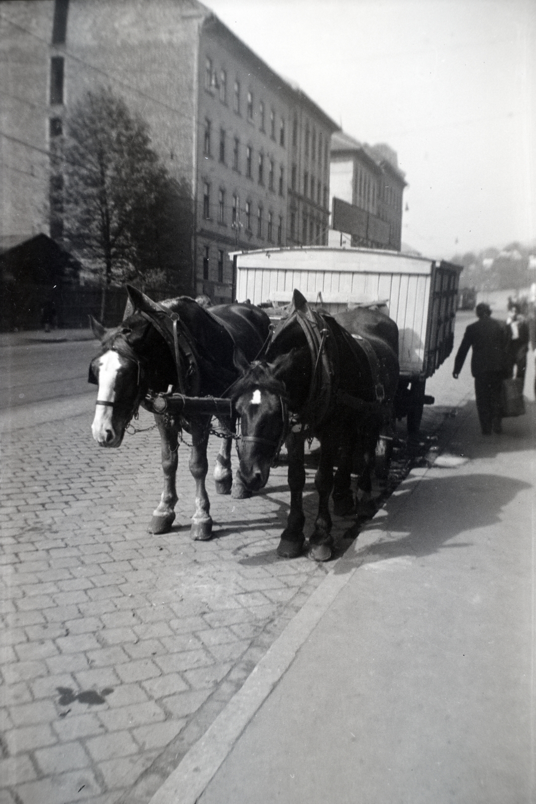 Hungary, Budapest XII., Nagyenyed (Enyedi) utca az Alkotás utcától a Böszörményi út felé nézve., 1936, Papp Róbert, Budapest, garbage truck, Fortepan #204196