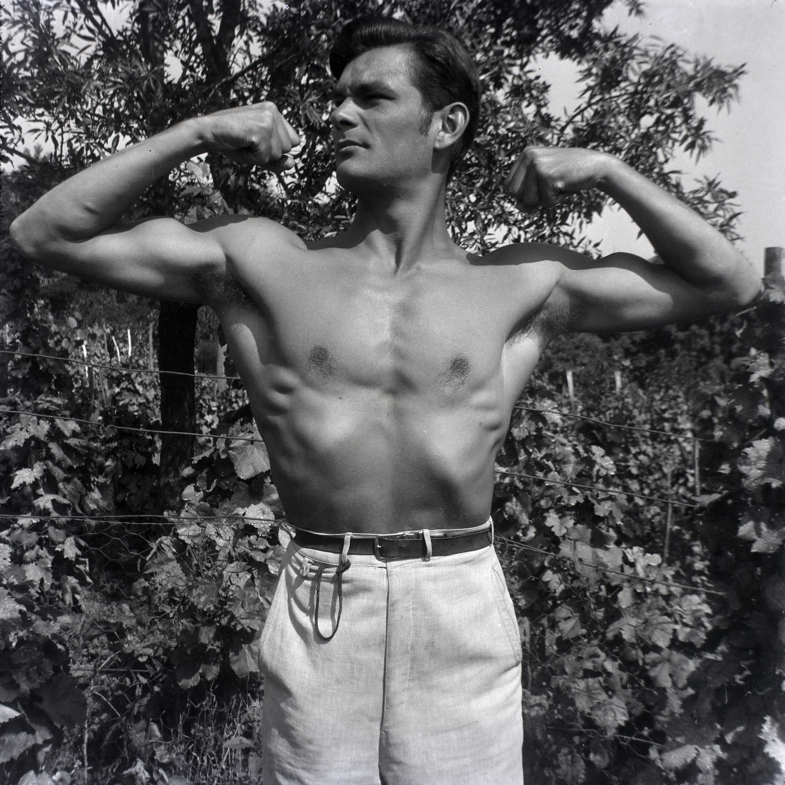 1949, Szalai Zoltán, posture, body building, man, strong, Fortepan #204503