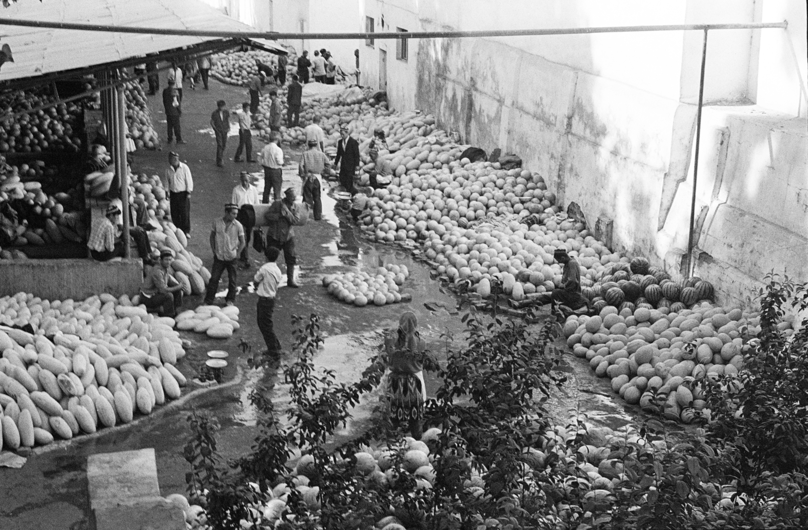 Üzbegisztán, 1971, Kereki Sándor, Szovjetunió, piac, zöldség, Fortepan #204704