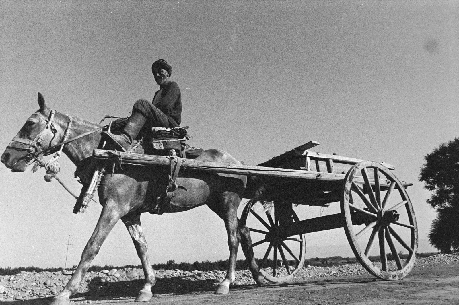 Uzbekistan, 1971, Kereki Sándor, Soviet Union, chariot, Fortepan #204766