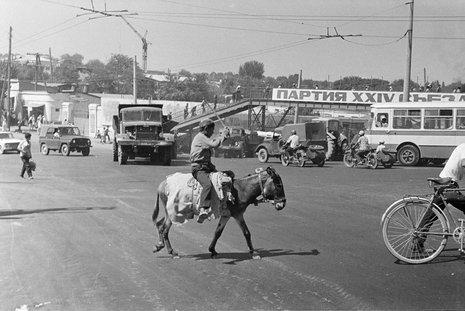 Uzbekistan, 1971, Kereki Sándor, Soviet Union, donkey, bicycle, Fortepan #204780