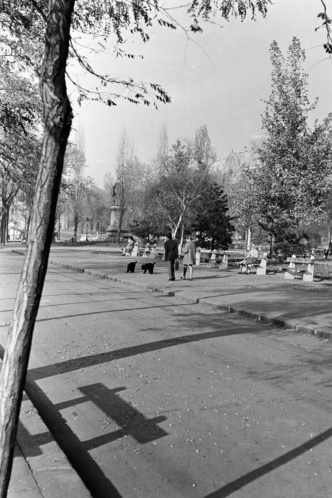 Hungary, Budapest V., a Dunakorzó az Eötvös térnél, háttérben Eötvös József szobra., 1974, Kereki Sándor, Budapest, dog, walk, shadow, Fortepan #204871