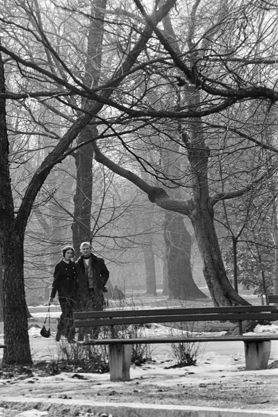 1971, Kereki Sándor, bench, Fortepan #204933