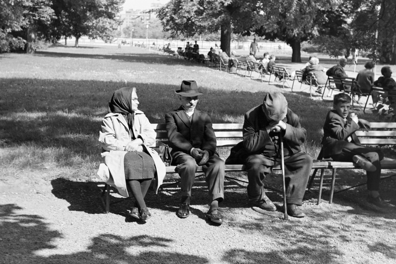 Hungary, Margit Islands, Budapest, háttérben a Szent István park épületei., 1971, Kereki Sándor, bench, old person, sunshine, Fortepan #204938