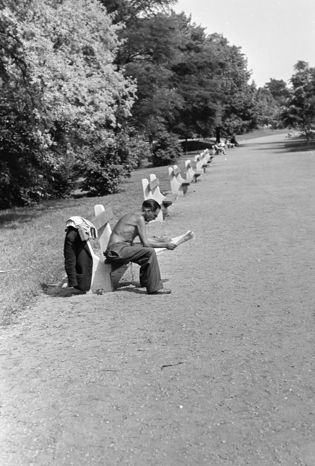 1973, Kereki Sándor, newspaper, half-naked, bench, reading, Fortepan #205073