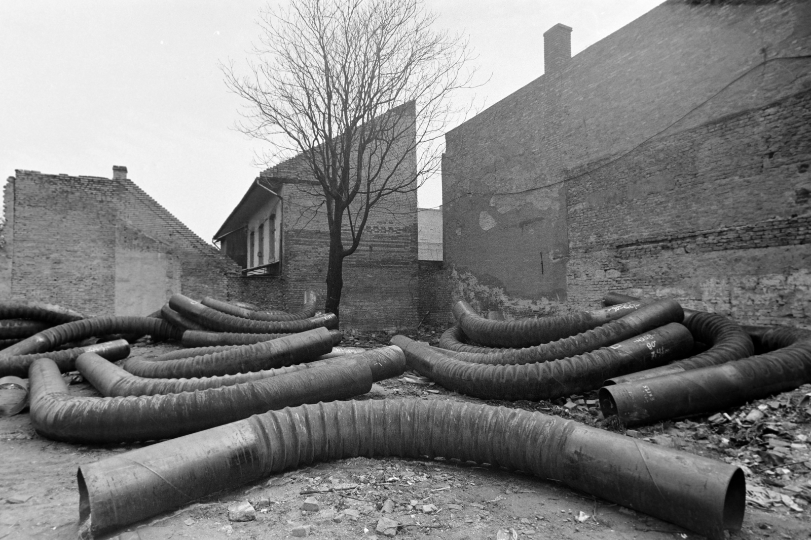 1975, Kereki Sándor, pipe, Best of, Fortepan #205095
