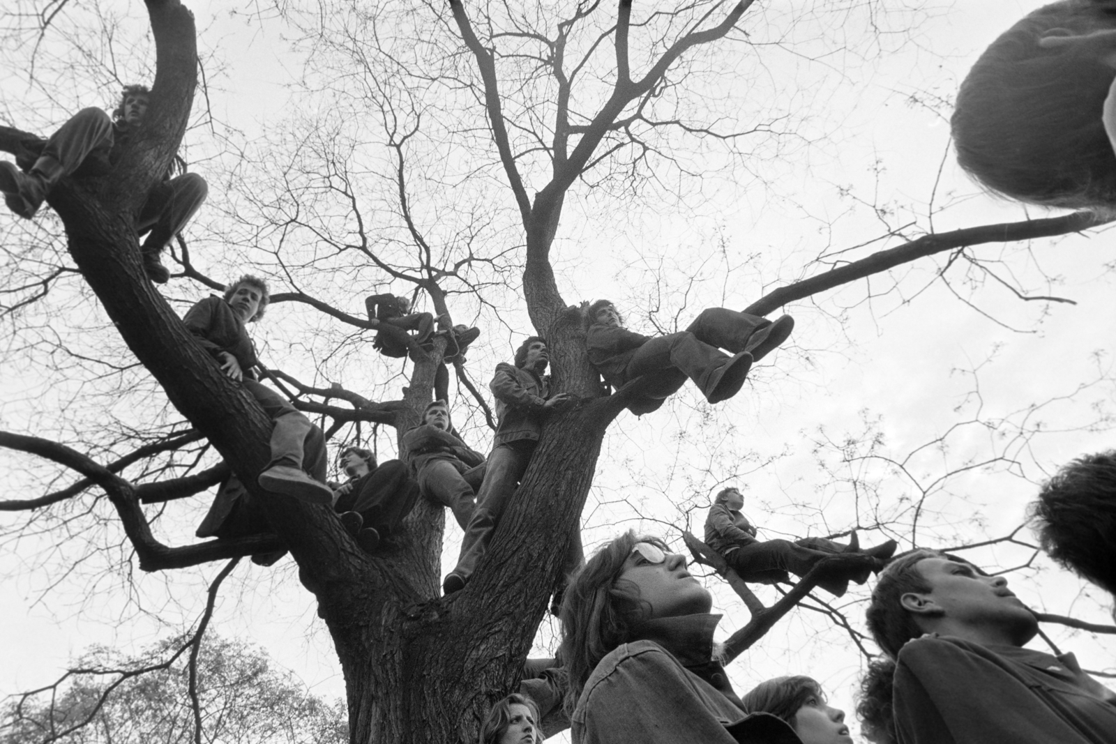 1978, Kereki Sándor, youth, wood, Best of, Fortepan #205113