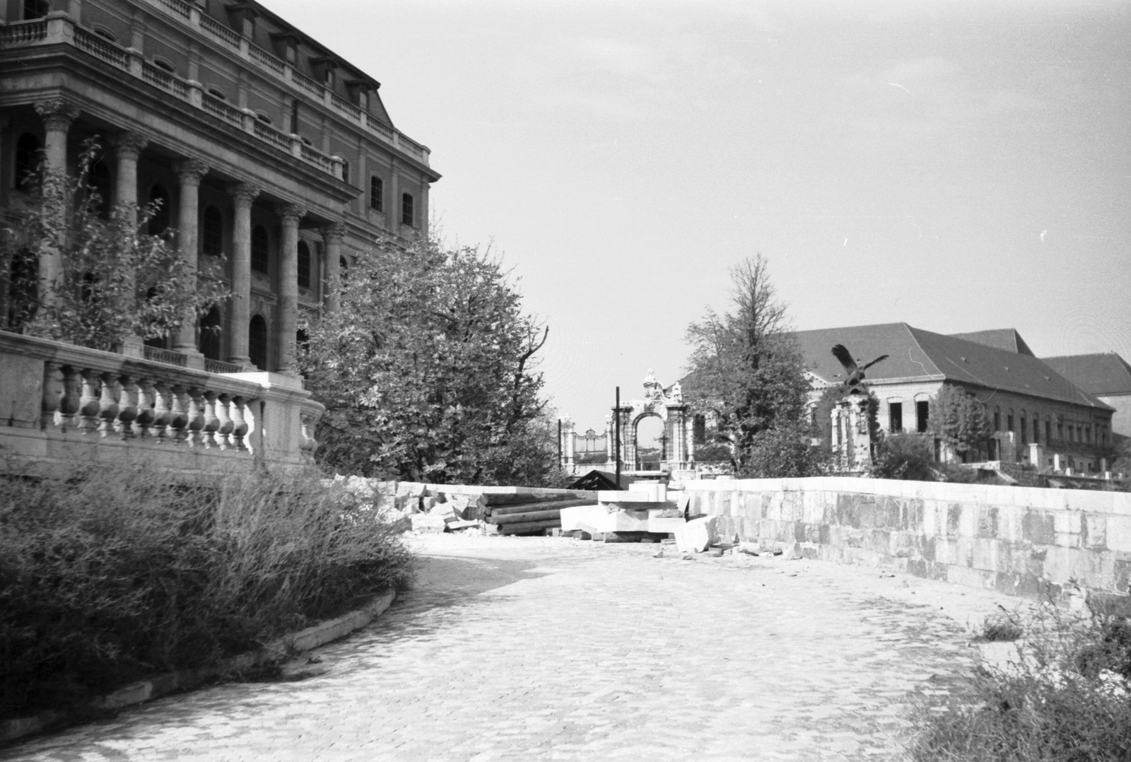 Magyarország, budai Vár, Budapest I., feljáró a Budavári Palota (korábban Királyi Palota) keleti teraszára., 1963, Beyer Norbert, épített örökség, Turul-szobor, Budapest, Fortepan #20514