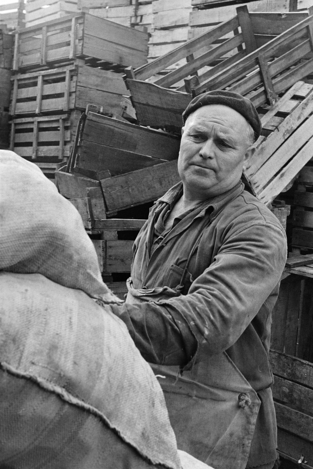 1973, Kereki Sándor, Fortepan #205201