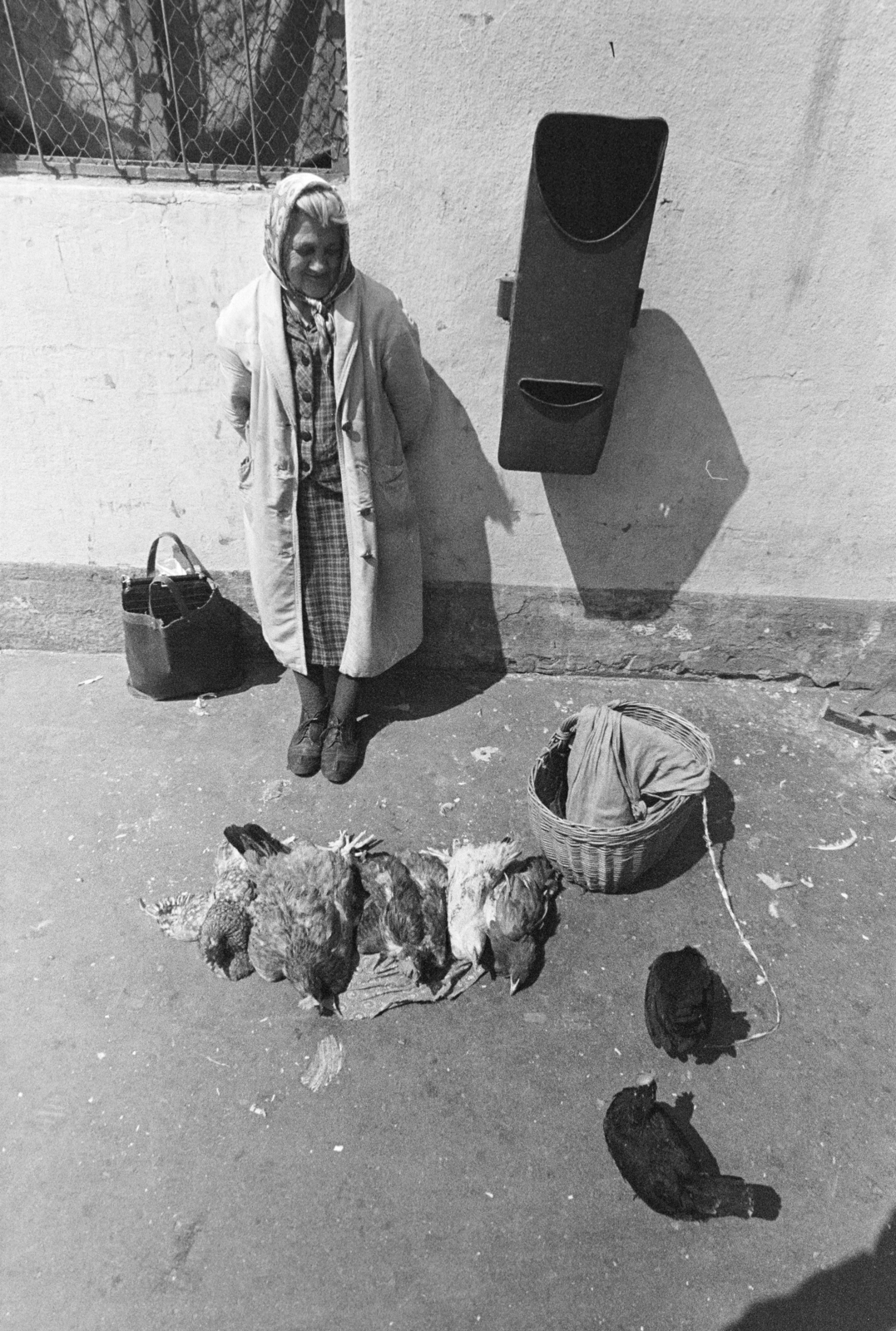 1975, Kereki Sándor, poultry, old person, Fortepan #205374