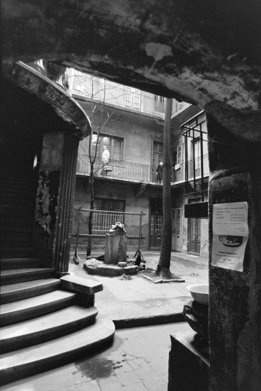 1976, Kereki Sándor, inner courtyard, cat, Fortepan #205513