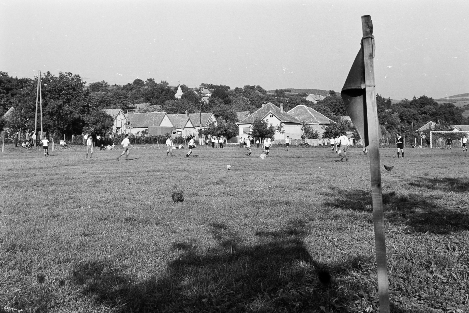 1972, Kereki Sándor, football, poultry, Fortepan #205674