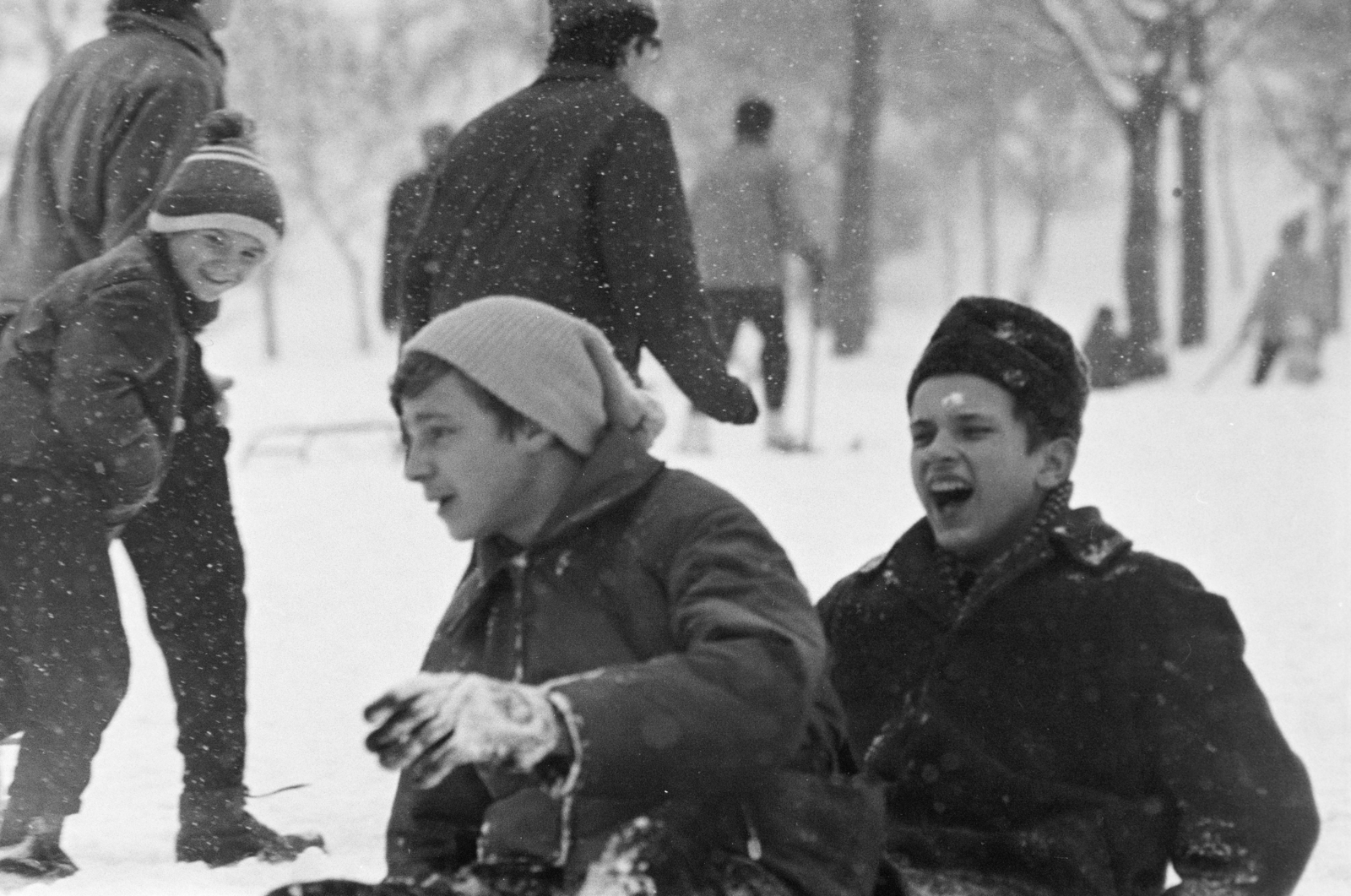 1970, Kereki Sándor, winter, snow, sledge, Fortepan #205690