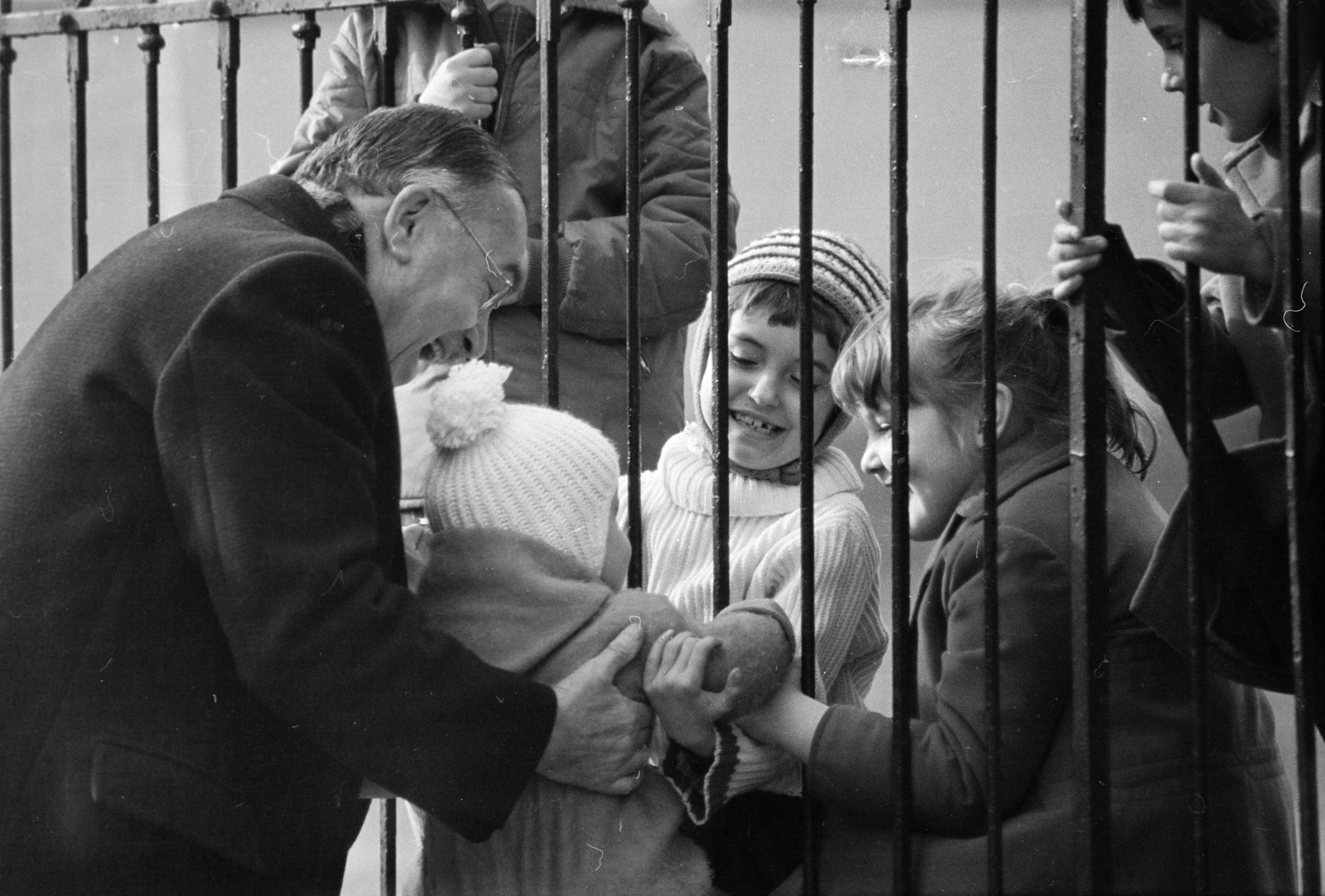 1971, Kereki Sándor, fence, Fortepan #205845