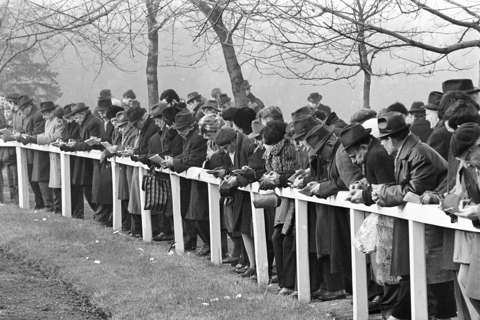Hungary, Budapest X., Albertirsai út, Lóversenypálya (később Kincsem Park)., 1970, Kereki Sándor, horse race, Budapest, audience, Fortepan #205860