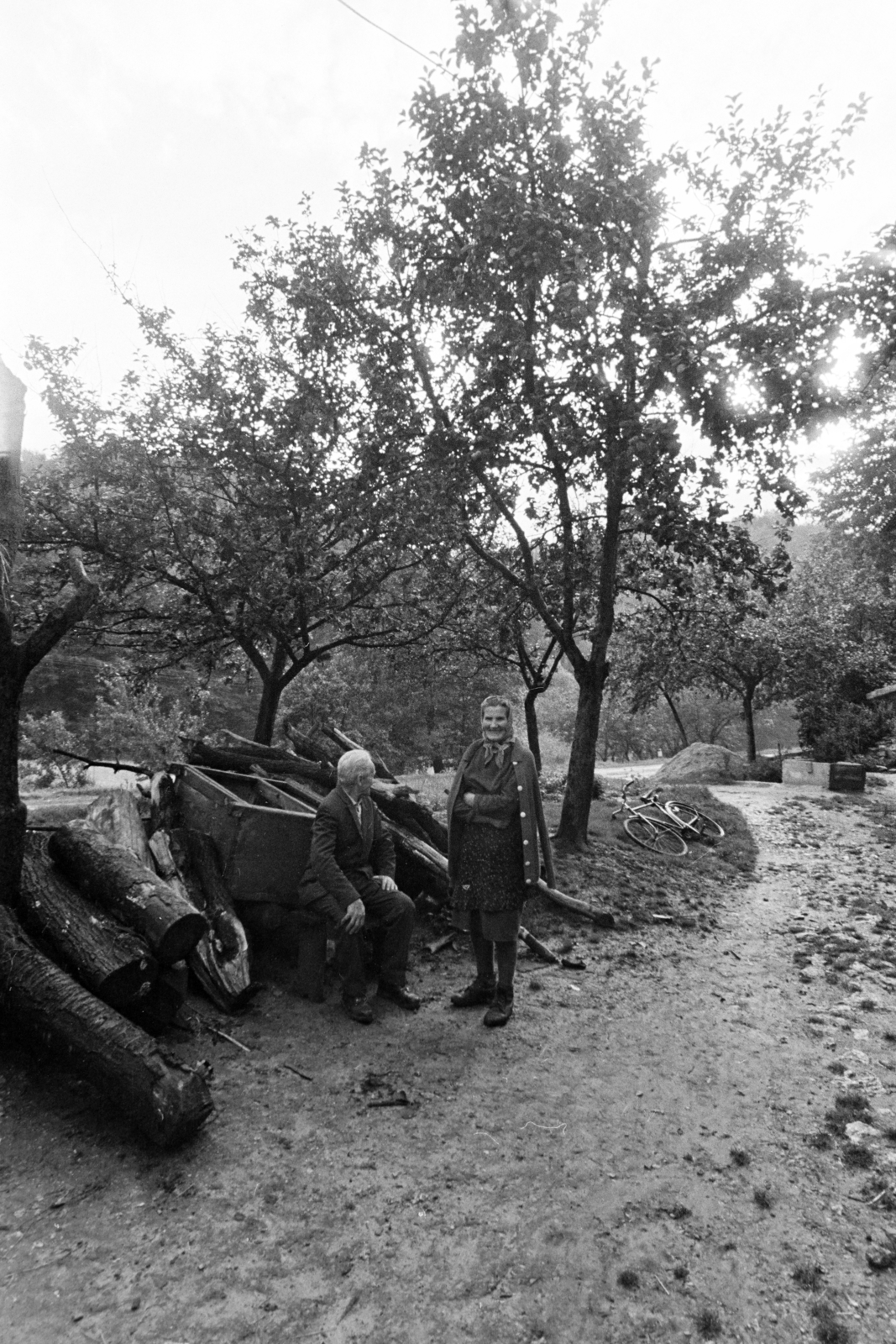 1970, Kereki Sándor, old person, handbarrow, Fortepan #205863