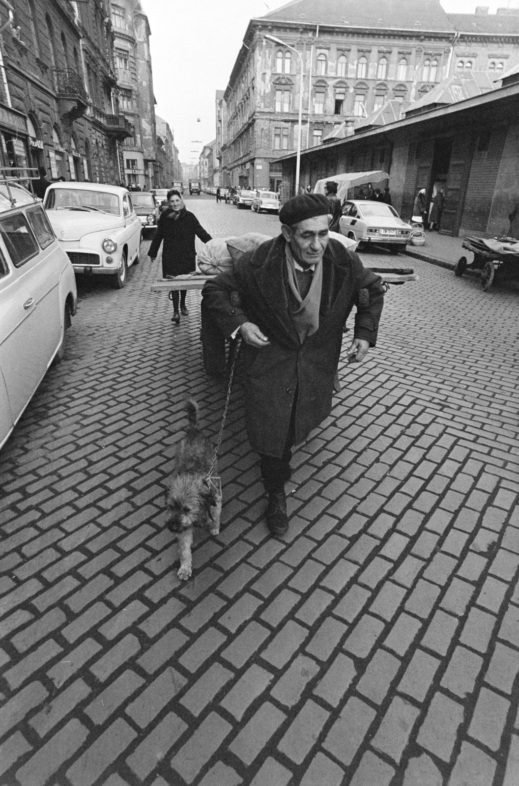 Hungary, Budapest VII., Garay tér a Murányi utca felé nézve, jobbra a piac., 1975, Kereki Sándor, dog, Budapest, market, handbarrow, ceramics, Fortepan #205966
