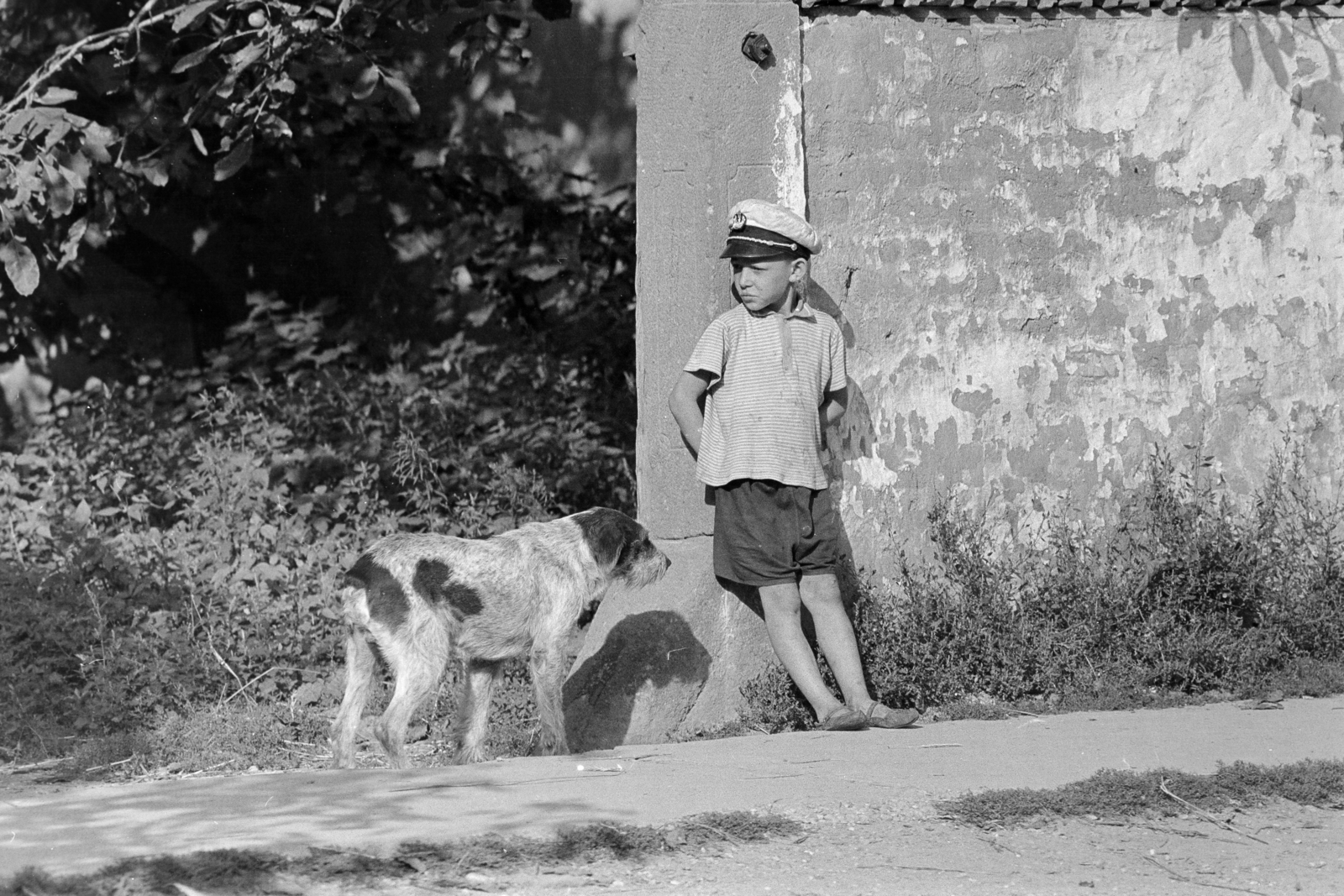 1969, Kereki Sándor, dog, sailor cap, kid, Fortepan #206121