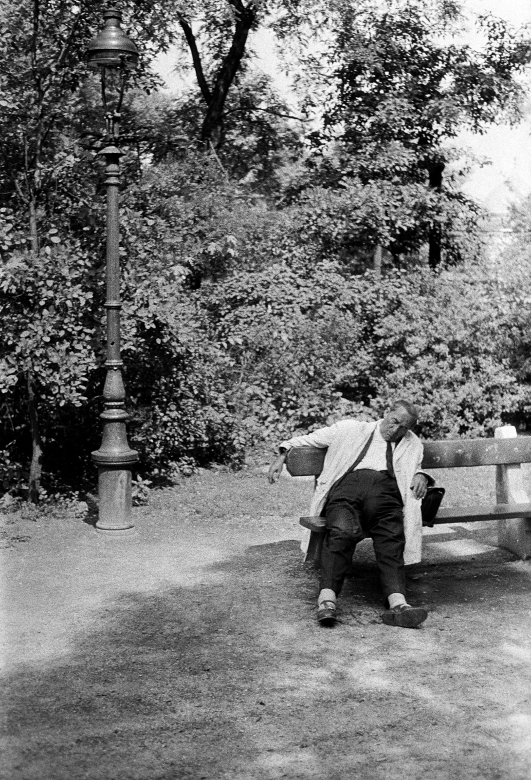 1972, Kereki Sándor, bench, sleeping, Fortepan #206156