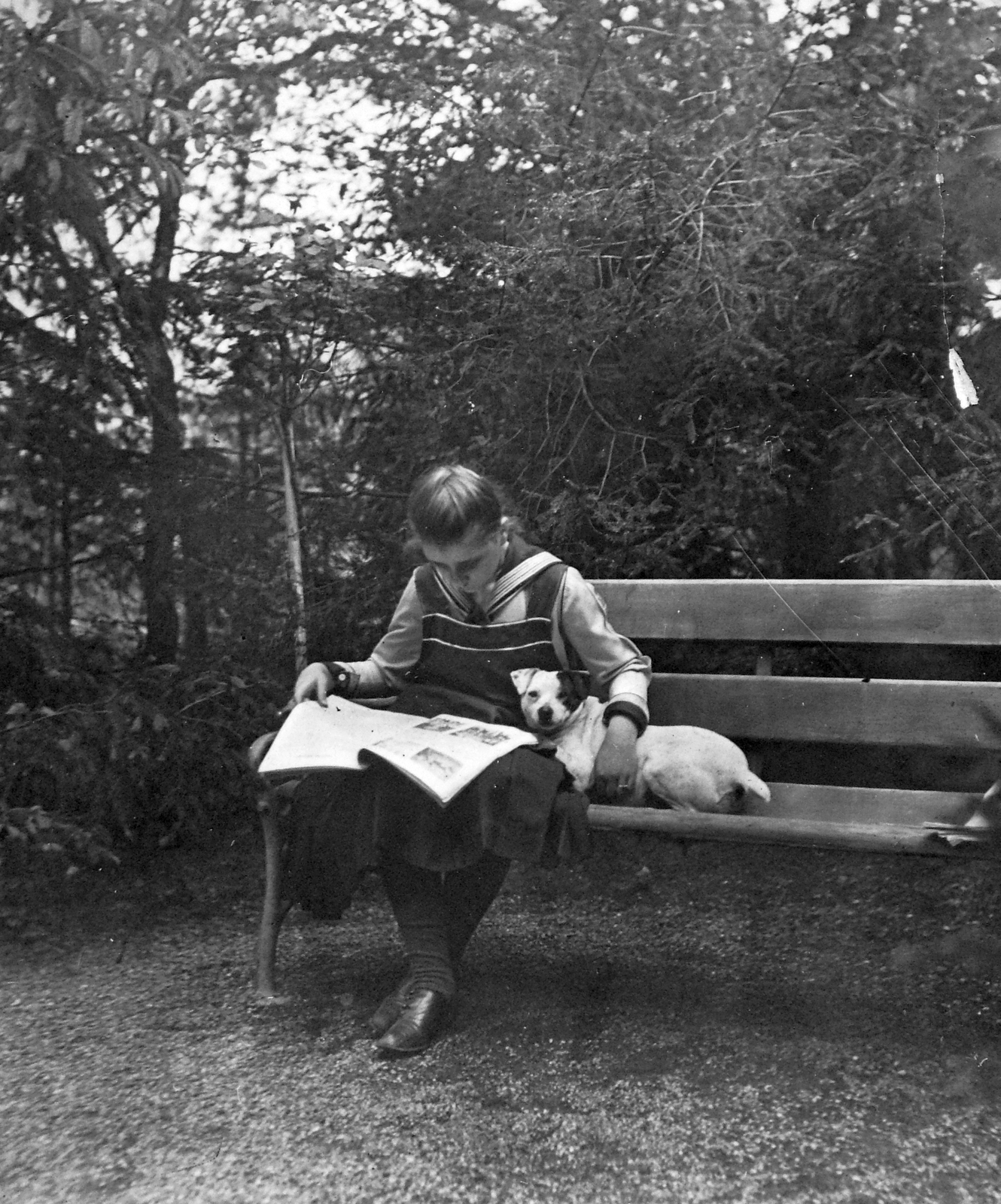 1915, Fortepan, dog, garden, reading, kids, boy, bench, Fortepan #20616