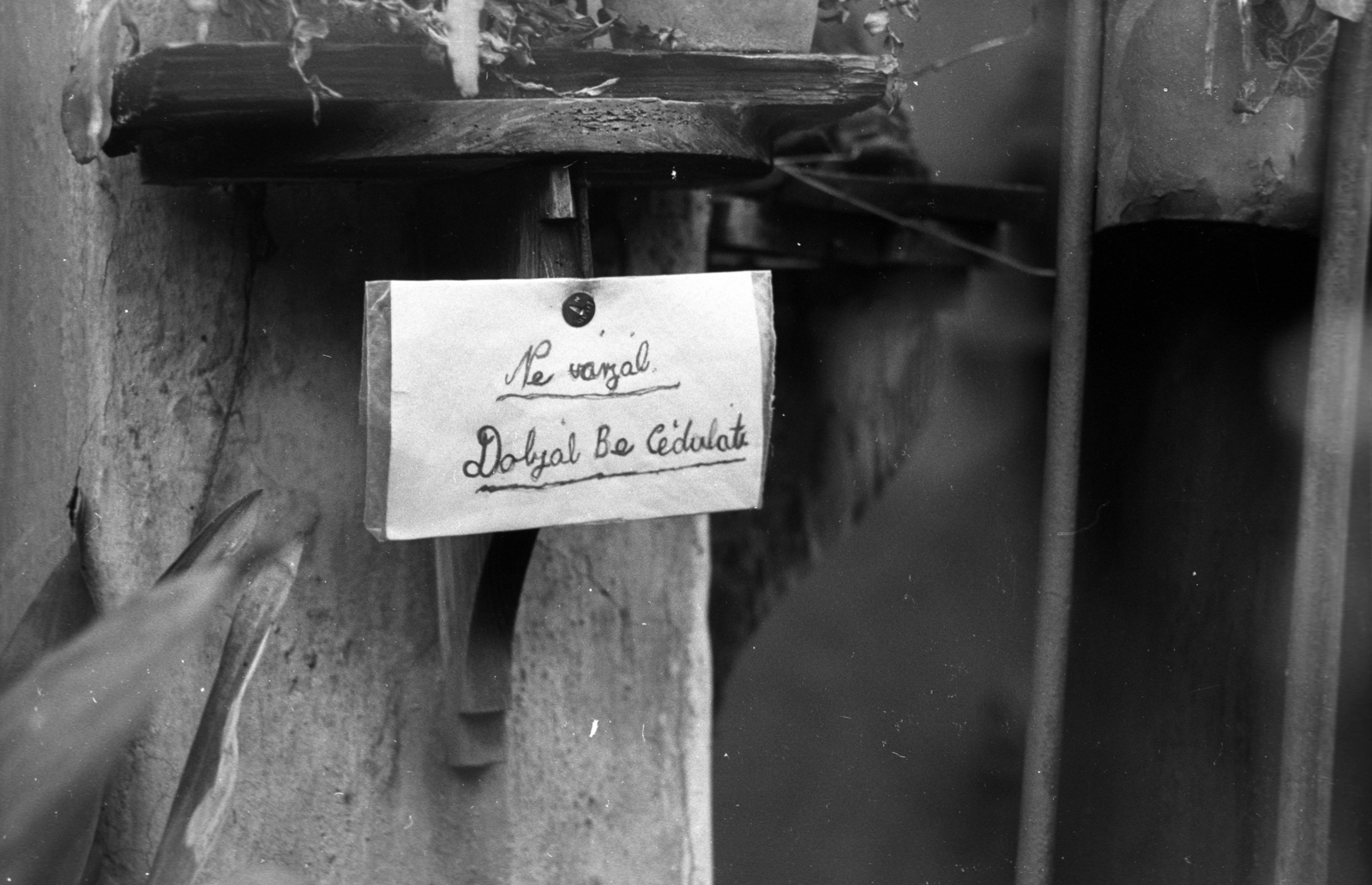Magyarország, Budapest IX., a felvétel a bontás előtt álló Mihálkovics-telepen készült., 1976, Kereki Sándor, Budapest, felirat, üzenet, Fortepan #206194