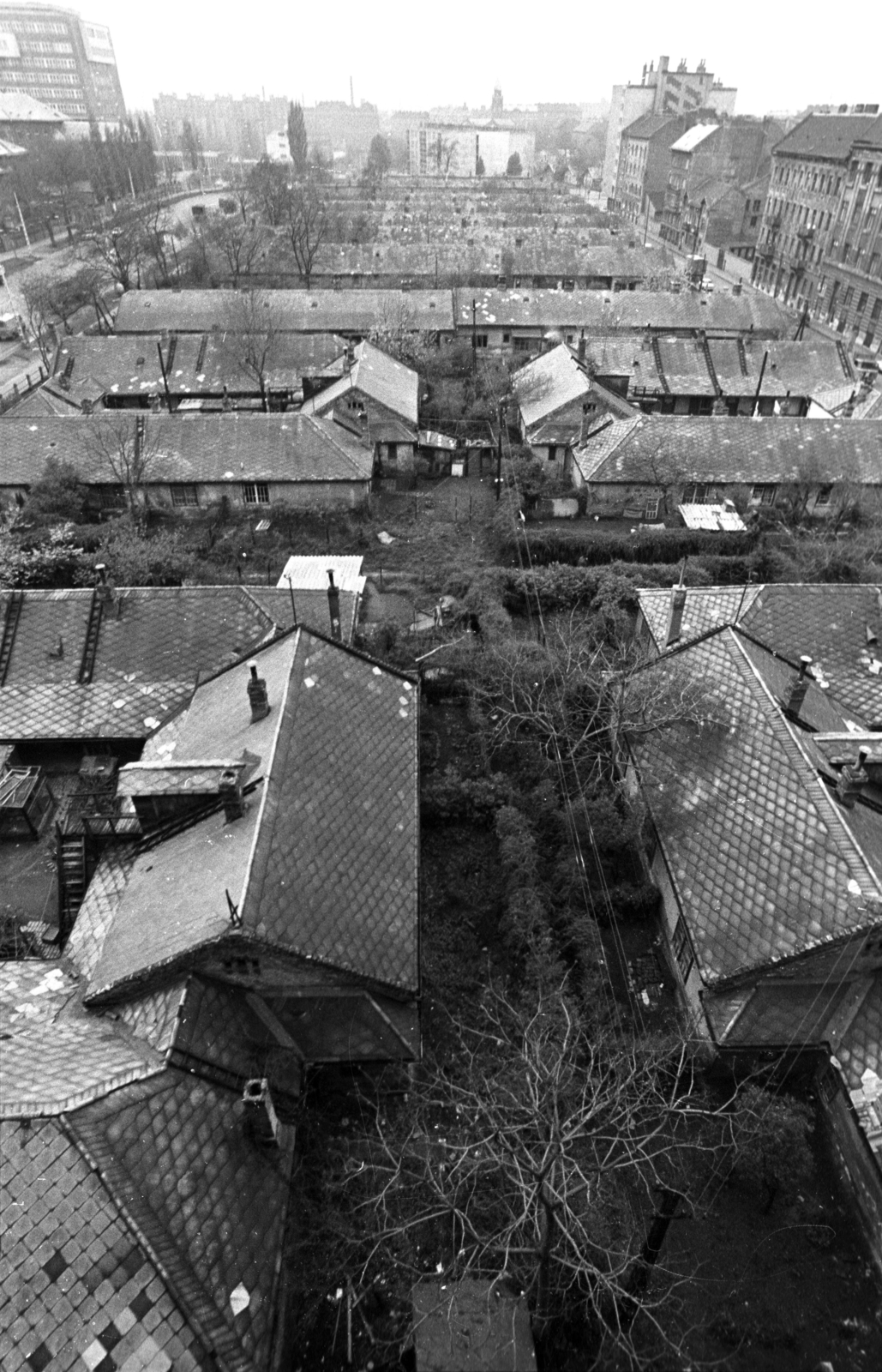 Magyarország, Budapest IX., Mihálkovics-telep, balra a Haller utca (Hámán Kató út), távolabb az Országos Kardiológiai Intézet épülete. Jobbra a Mihálkovics utca házsora., 1976, Kereki Sándor, Budapest, háztető, madártávlat, Fortepan #206199