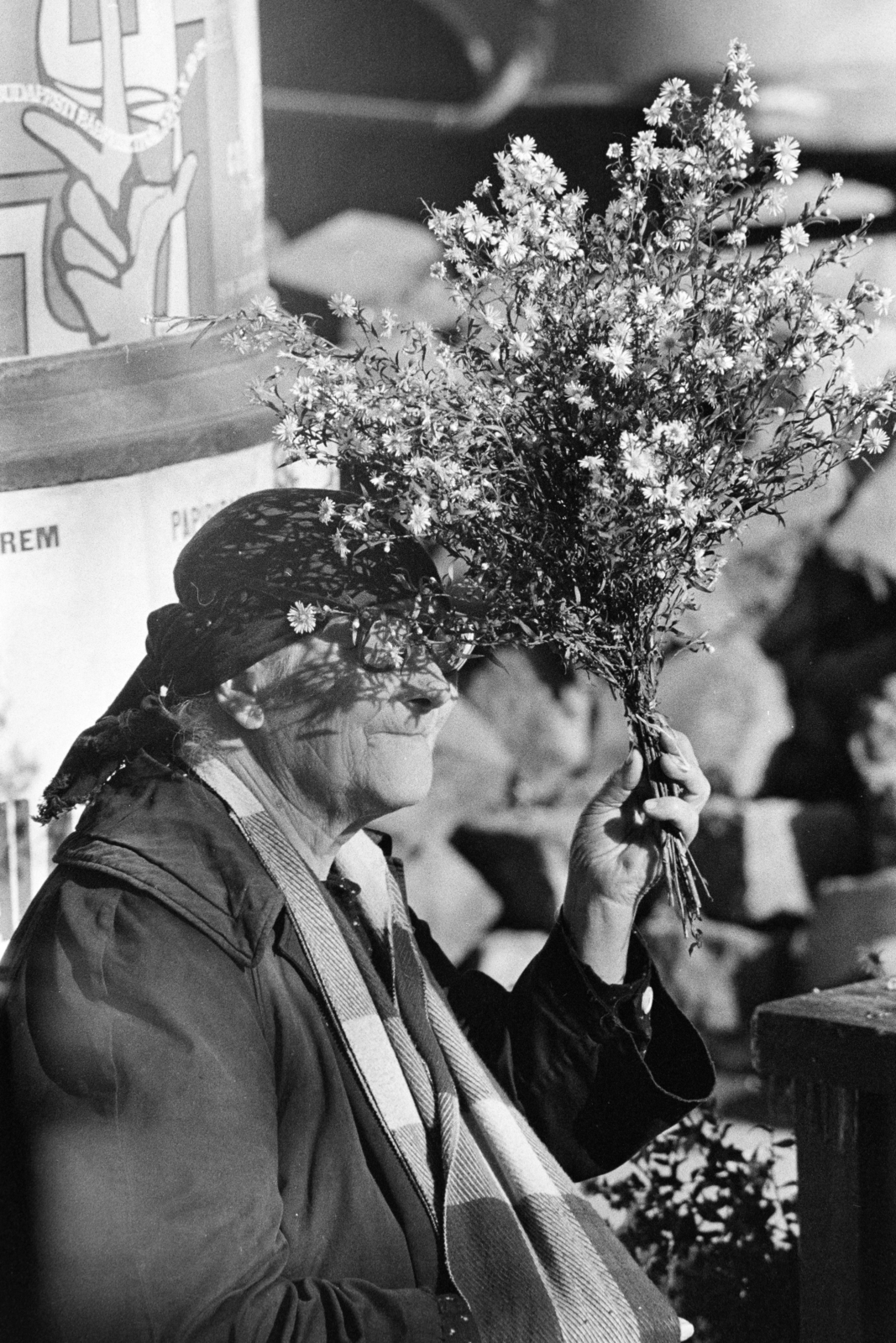 1970, Kereki Sándor, sunshine, flower, Fortepan #206384