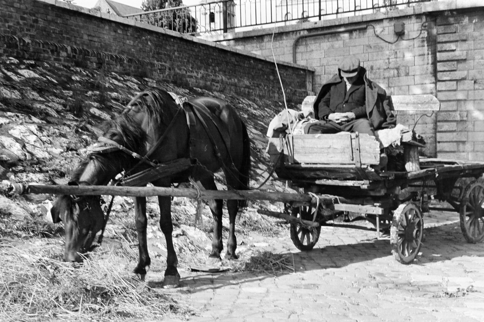 Magyarország, Győr, Mosoni-Duna-part, alsó rakpart a Dunakapu térnél, fuvaros pihenőben. A Kossuth híd hídfője felett a Székesegyház és a Hittudományi Főiskola látszik., 1968, Kereki Sándor, lovaskocsi, alvás, kocsis, Fortepan #206399